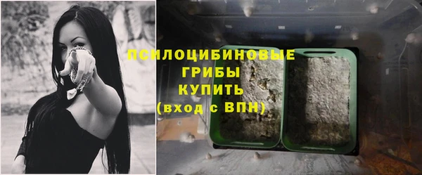 MDMA Белокуриха