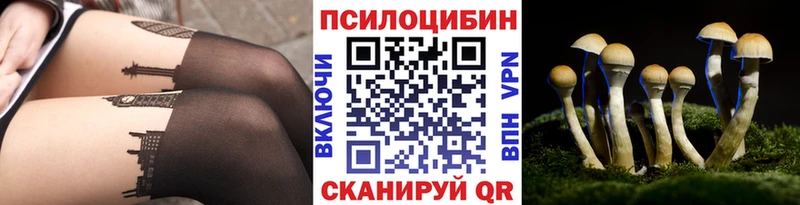 Псилоцибиновые грибы прущие грибы  Очёр 
